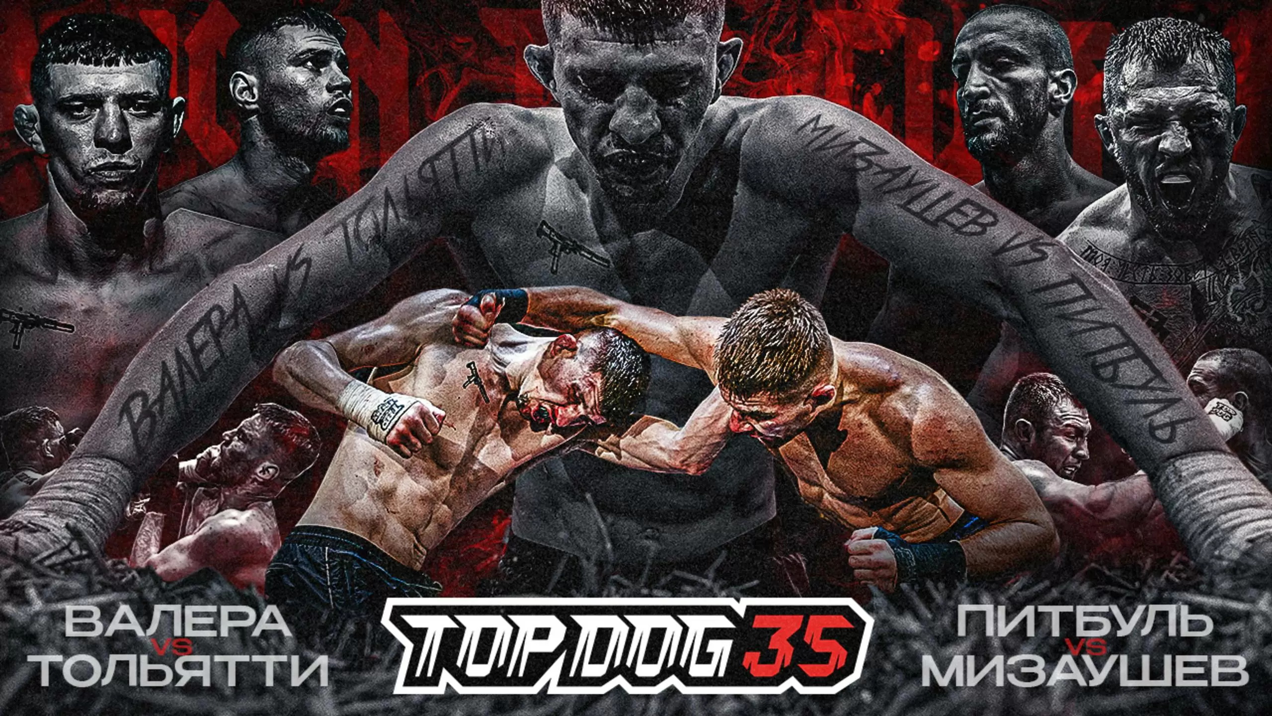 Изображение к видео: Валера VS Тольятти, Питбуль VS Мизаушев. TOP DOG 35, Тольятти