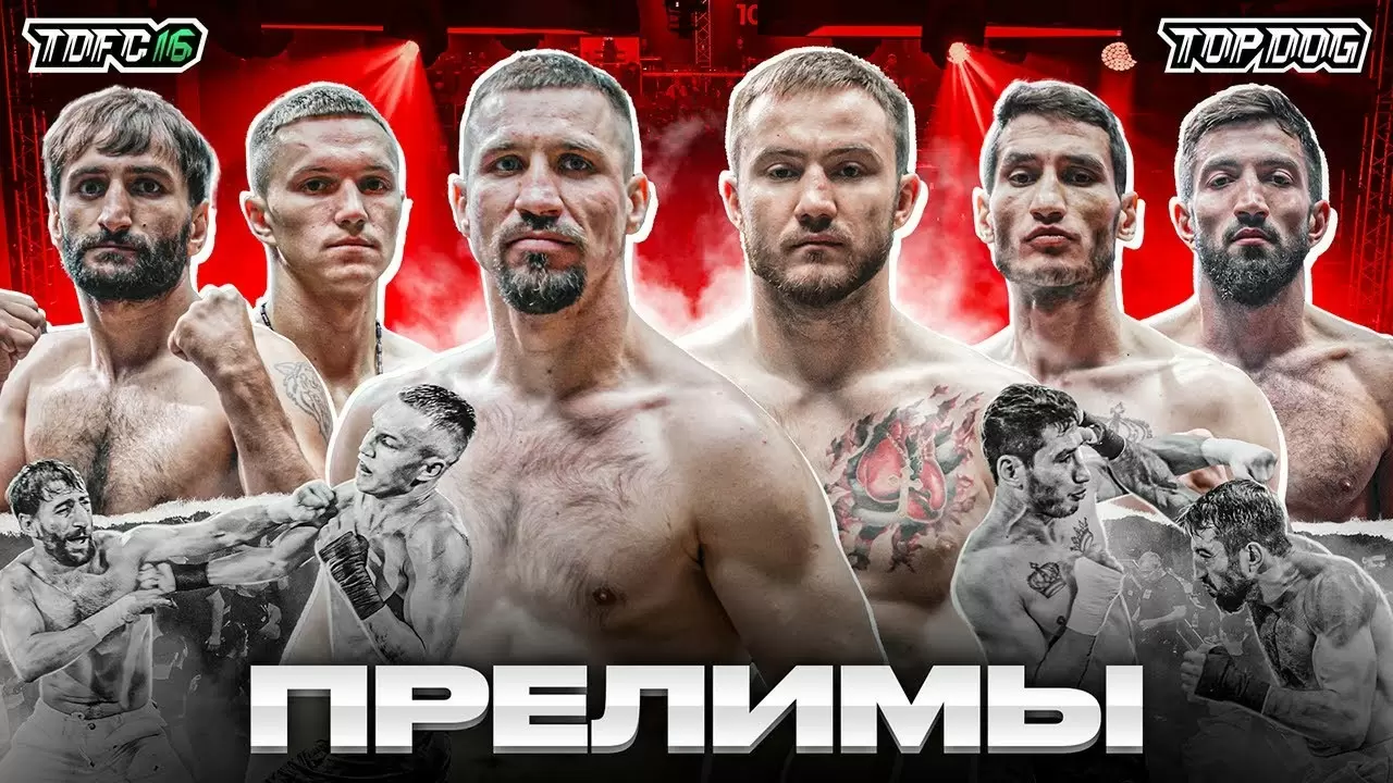 Изображение к видео: ПРЕЛИМЫ TDFC 16. Мономах — Гвоздь, Psycho — Ошаканец, Савин — Етумян, F1 — Пулемет, Гриф — Король