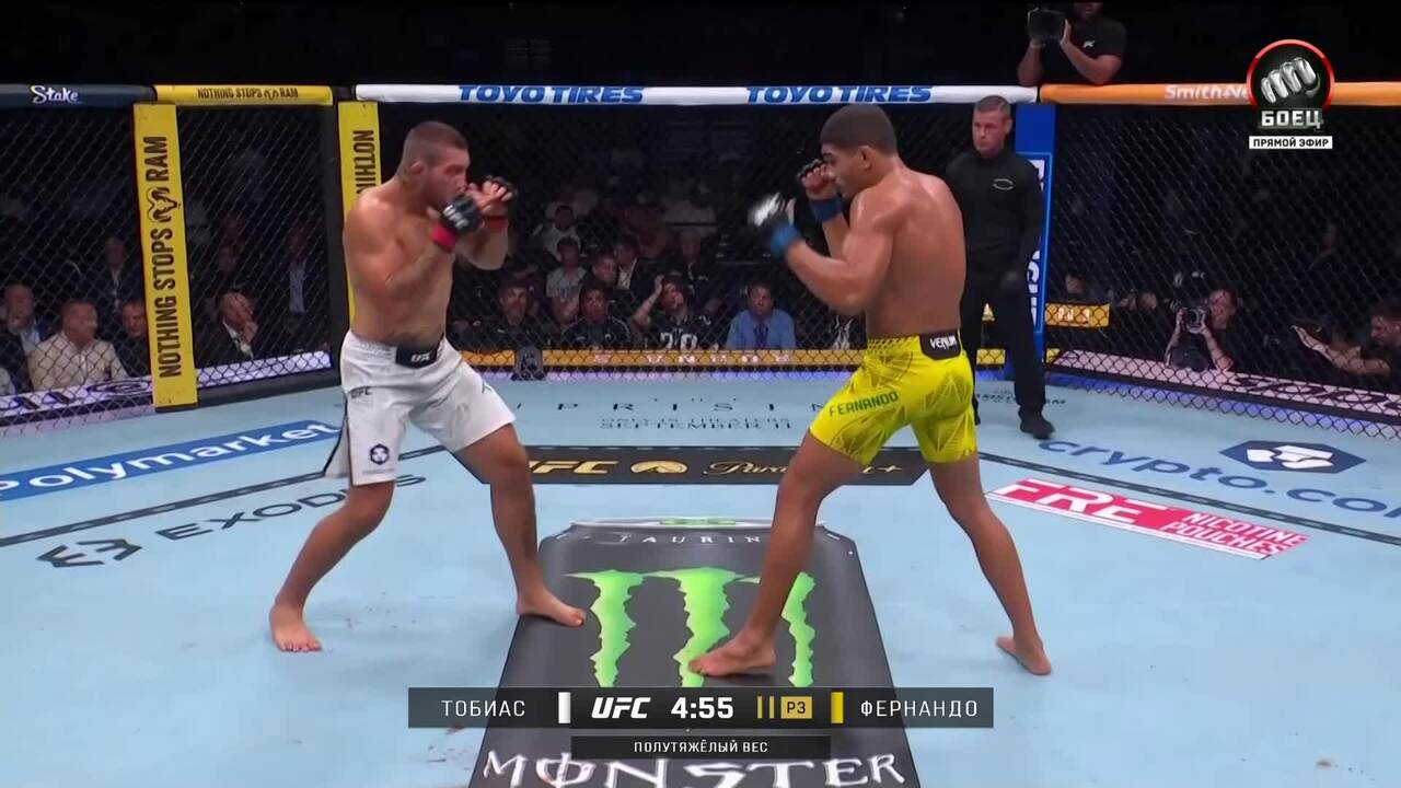 Изображение к видео: Рафаэл Тобиас против Лукаса Фернандо на UFC 330