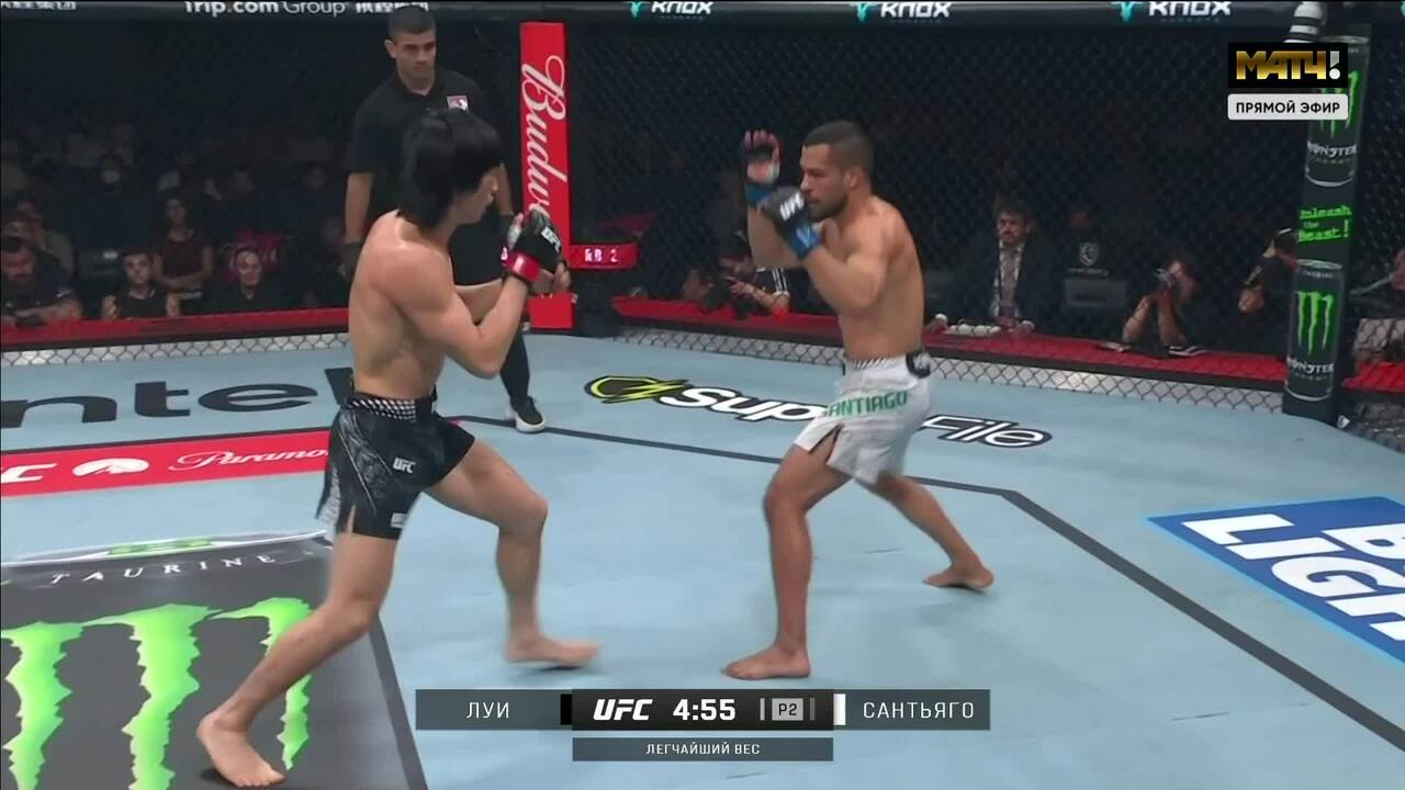 Изображение к видео: Лоуренс Луи против Хектора Сантьяго UFC Fight Night 286