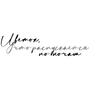 Иконка канала Цветок, что распускается по ночам / Knight flower