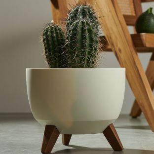 Иконка канала FlowerPower