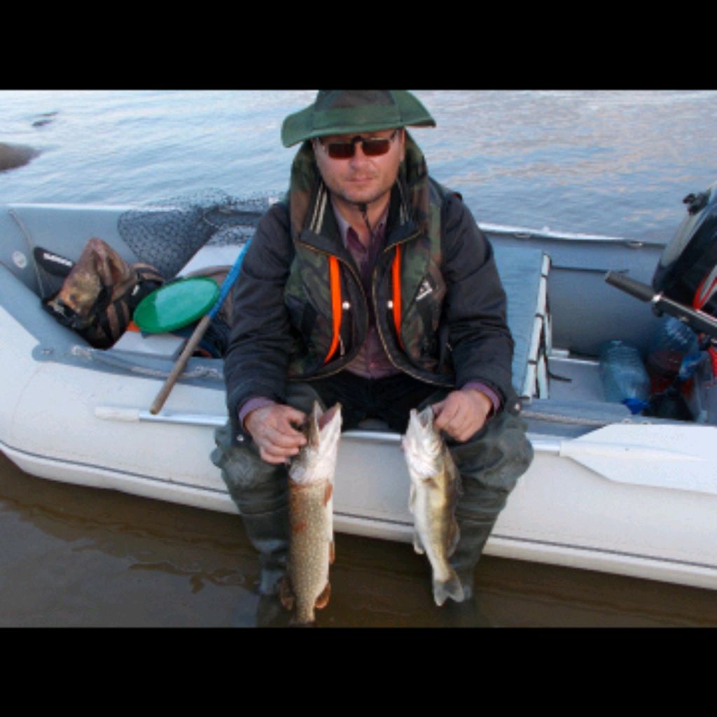 Аватар автора