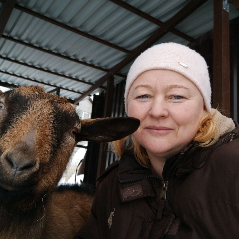 Аватар автора