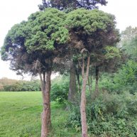 Иконка канала Живу в Москве 2024