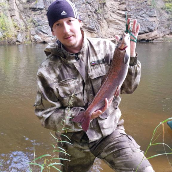 Аватар автора