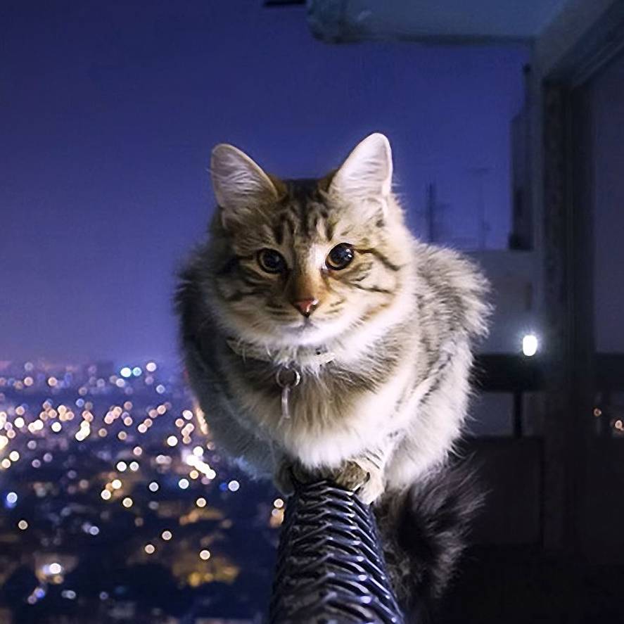 Аватар