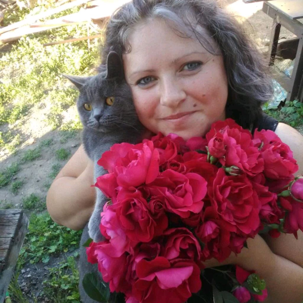 Аватар автора