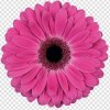 Иконка канала Светлана