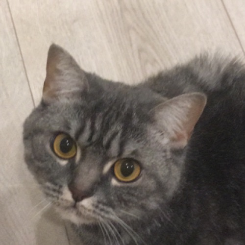 Иконка канала sashaN10066