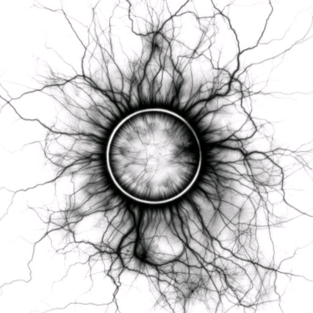 Иконка канала Nika_1900