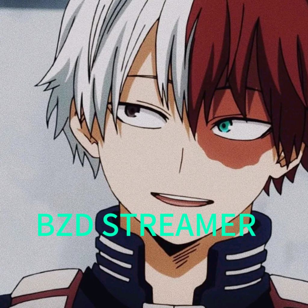 Иконка канала BZD STREAMER