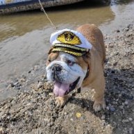 Иконка канала рыбалка андреевка24