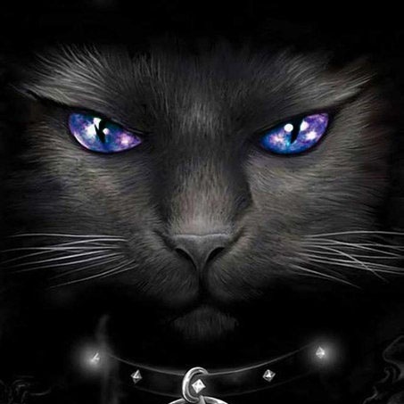 Иконка канала Magic Cat & Маг Роман