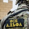 Иконка канала Licexs