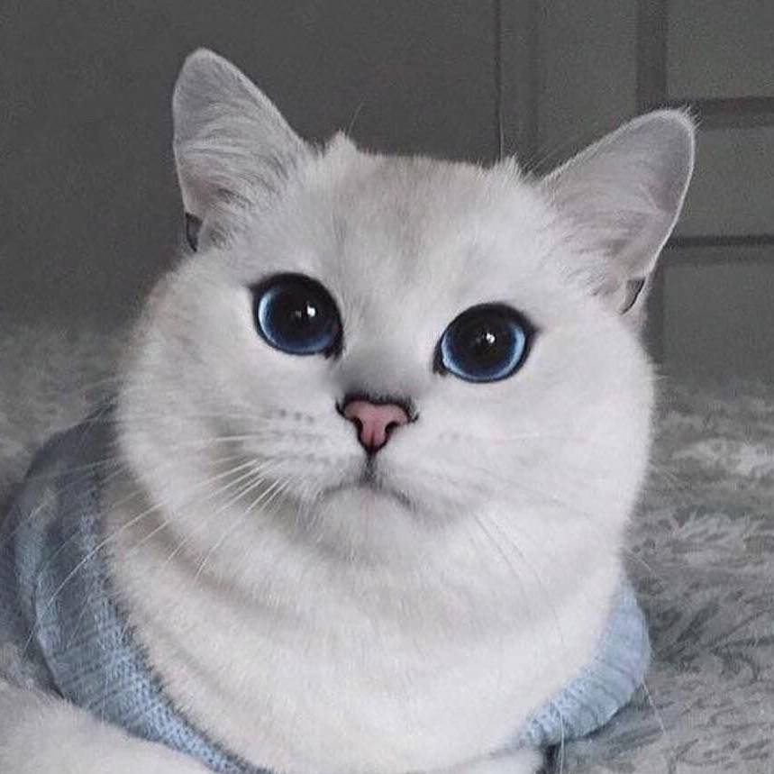 Аватар