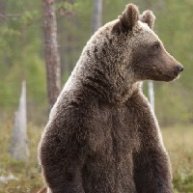 Иконка канала motojpeg