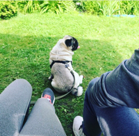 Аватар автора