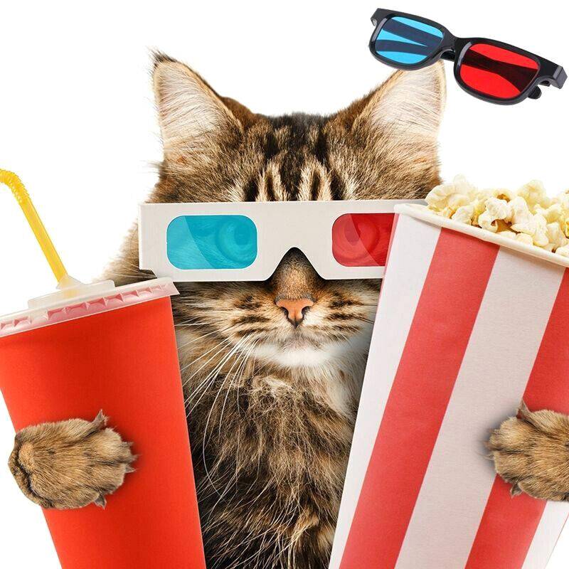 Иконка канала nastroyblog