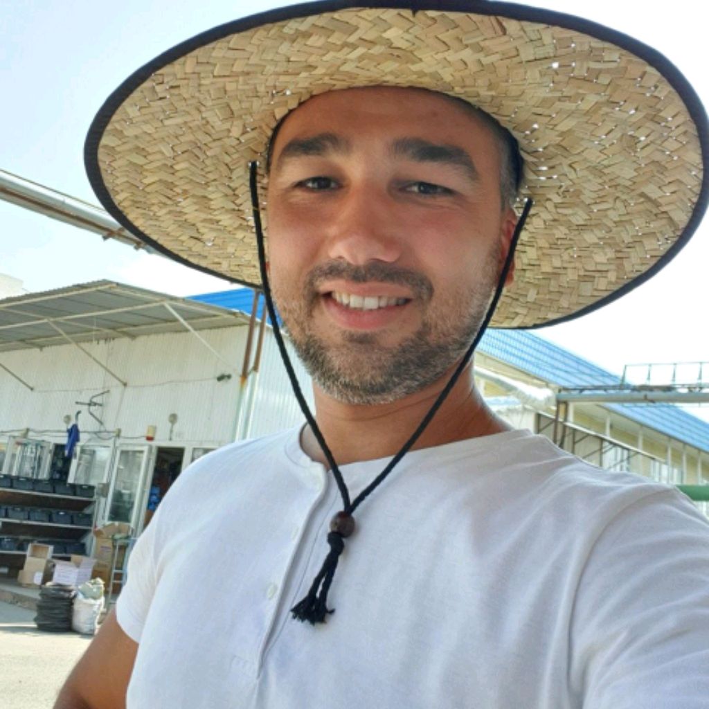 Аватар автора