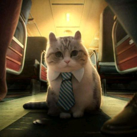 Аватар автора