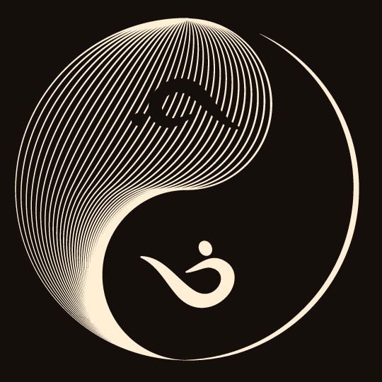 Иконка канала Yin Yang Pilates