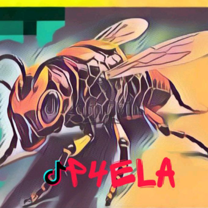 Иконка канала Пчёла Тв