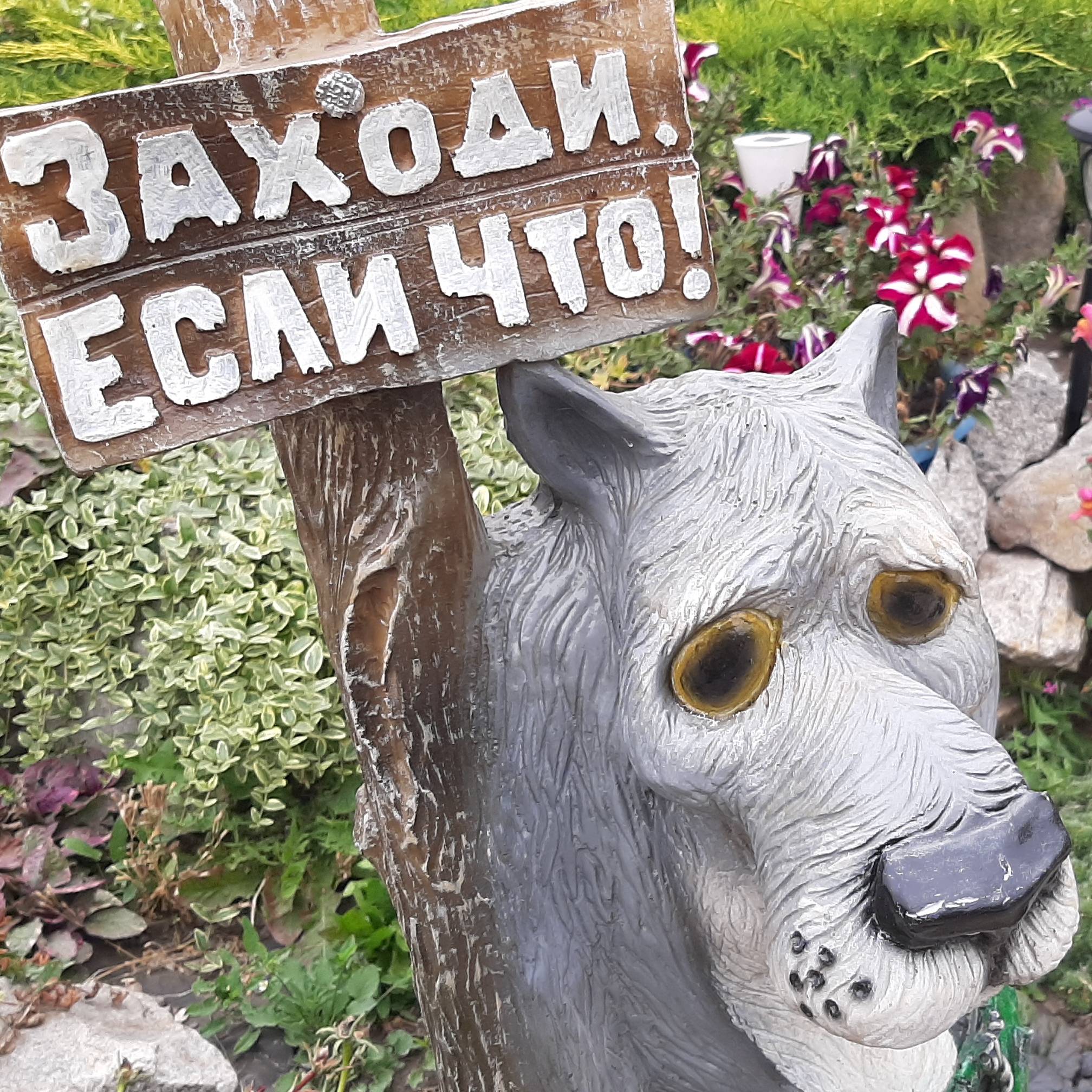Иконка канала zri-v-korni o9o56o