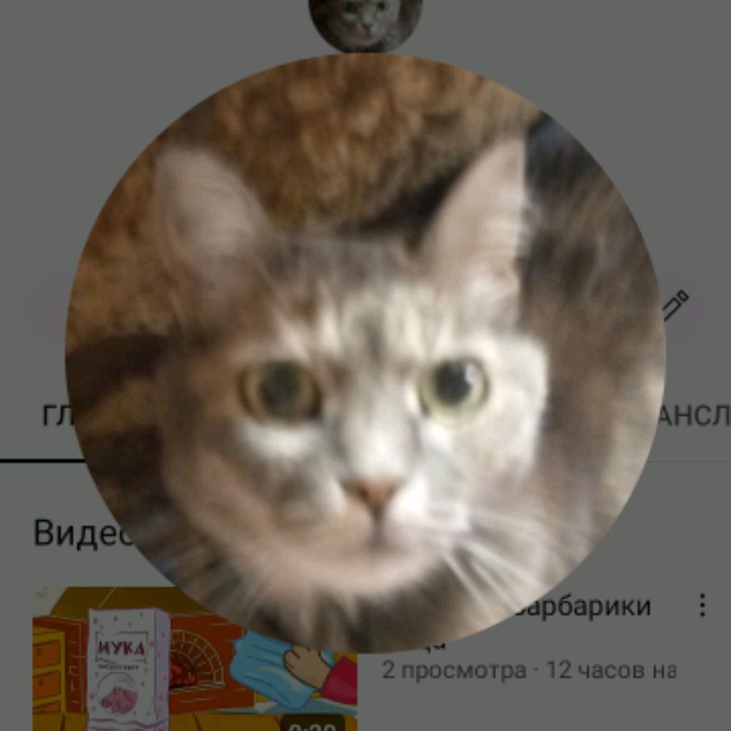 Аватар автора