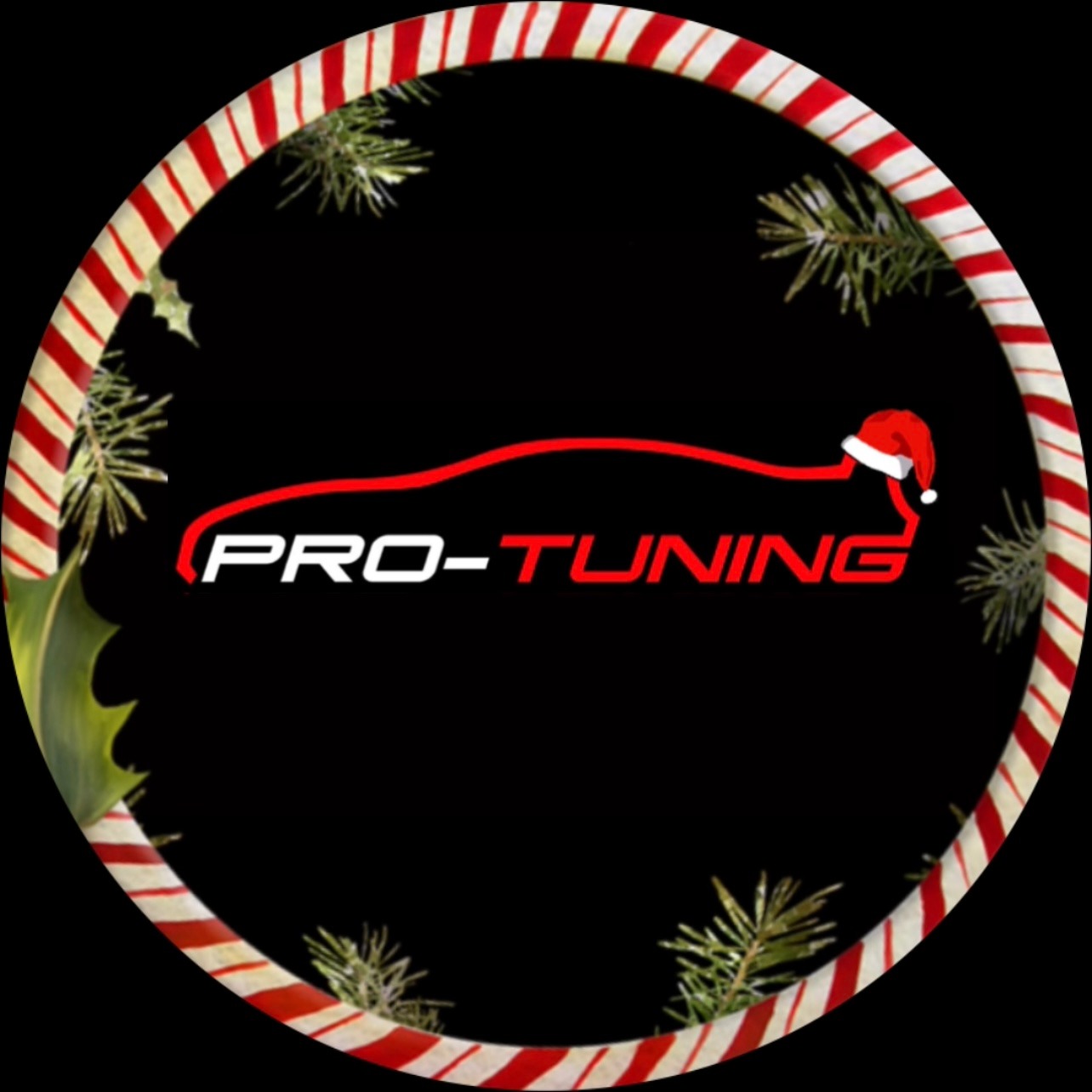 Иконка канала Pro-Tuning Company