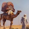 Иконка канала rutube_account_23494845