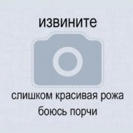 Иконка канала channel42250454
