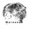 Иконка канала Магнолия