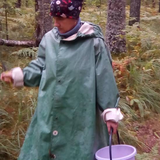 Аватар автора