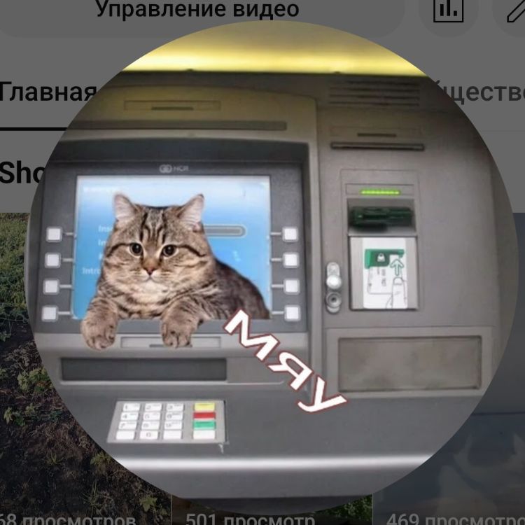 Аватар автора