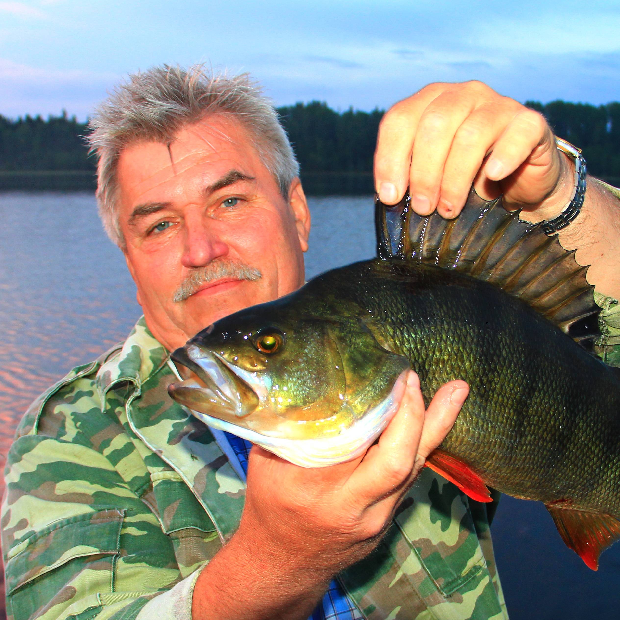 Аватар автора