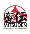 Иконка канала Мицудэн