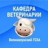 Иконка канала Кафедра ветеринарии "Великолукская ГСХА"