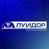 Иконка канала Луидор Россия | Luidor Russia