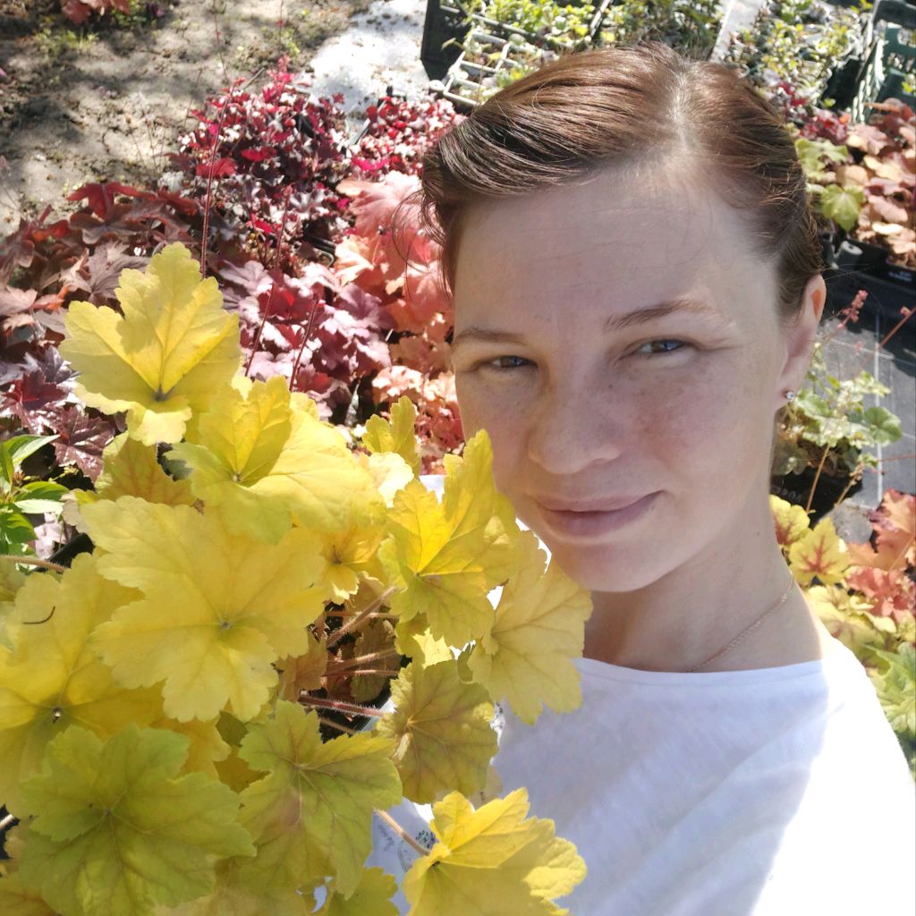 Иконка канала sad.ydoma