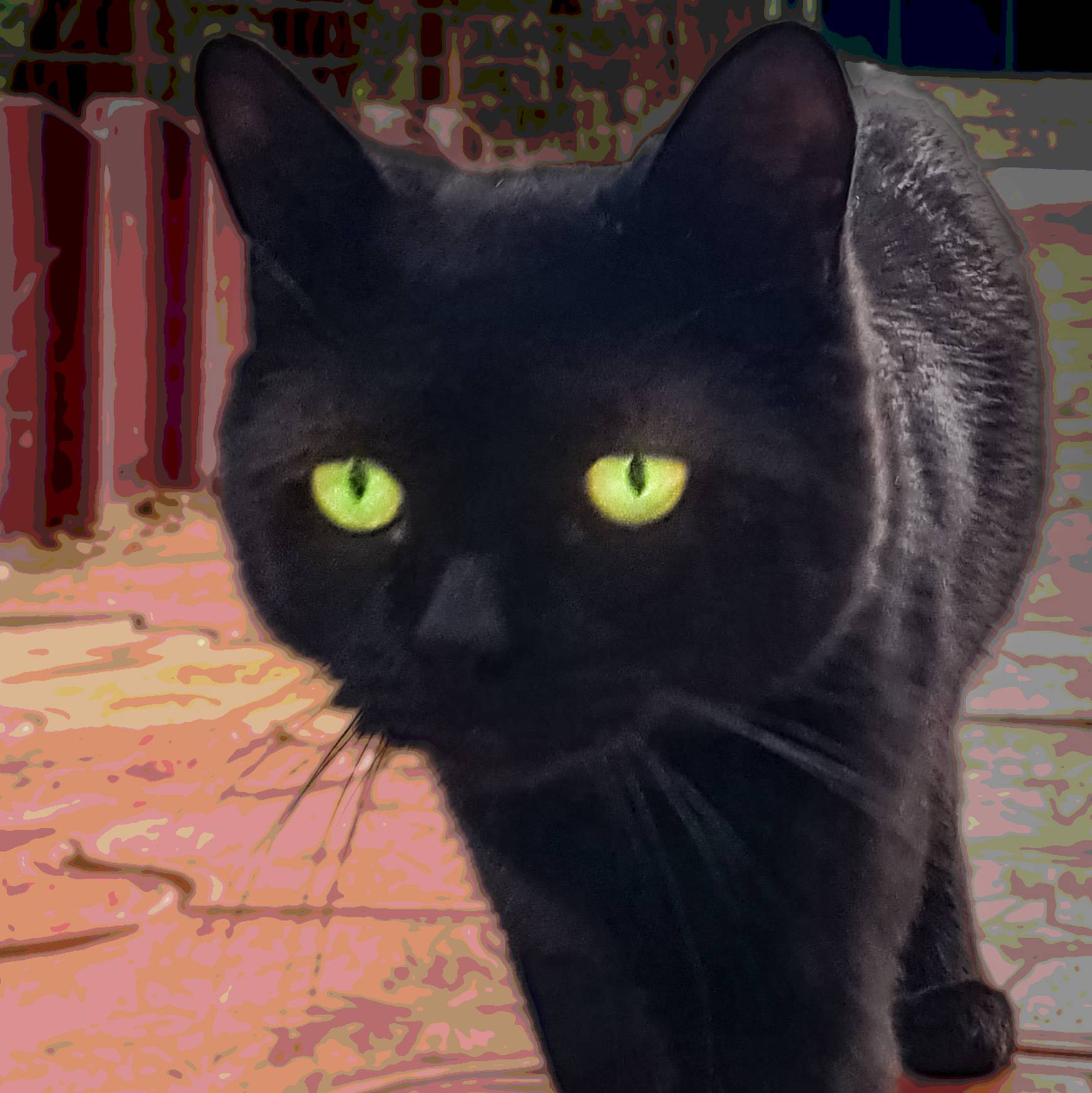 Аватар автора