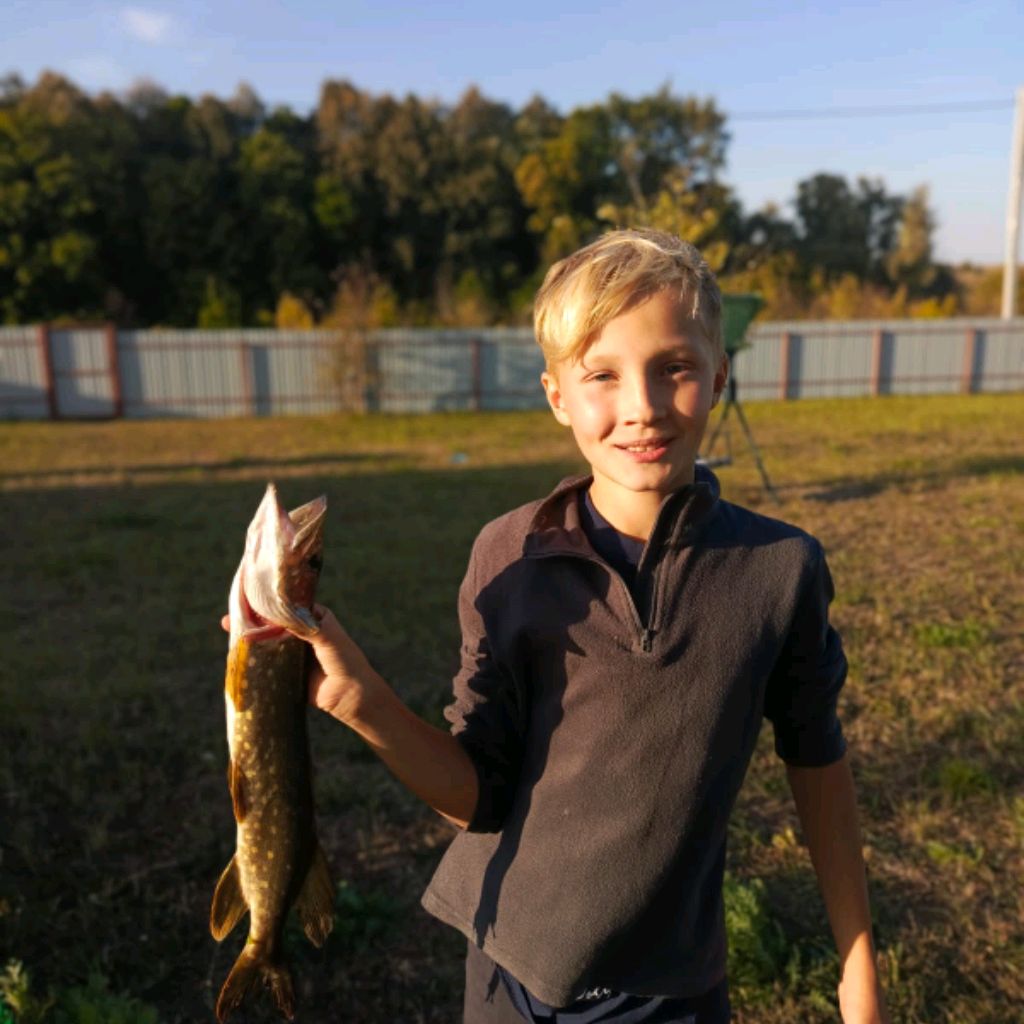 Аватар автора