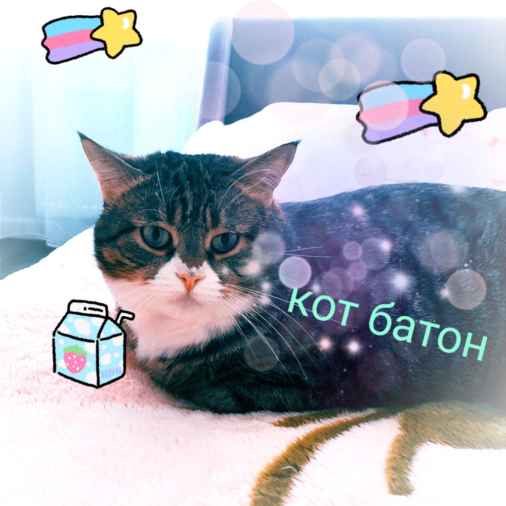 Аватар автора