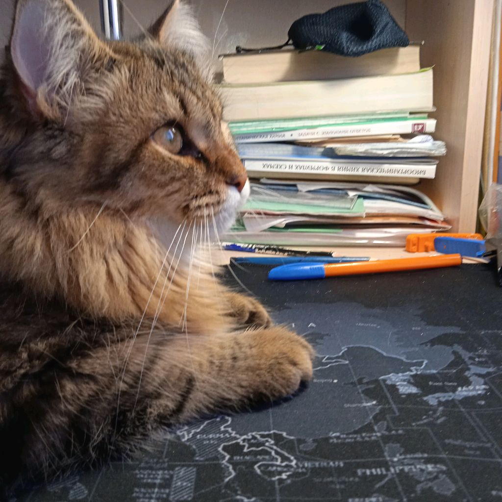 Аватар автора