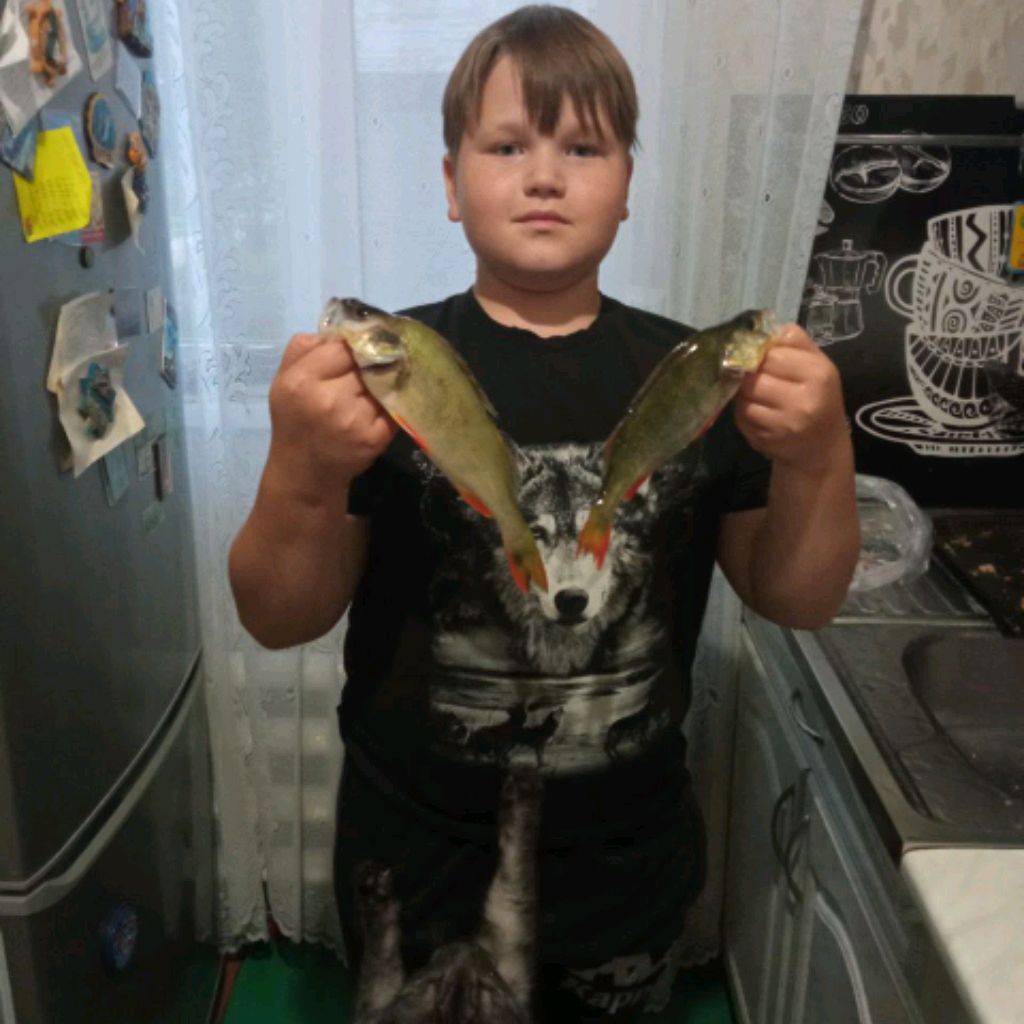 Аватар автора