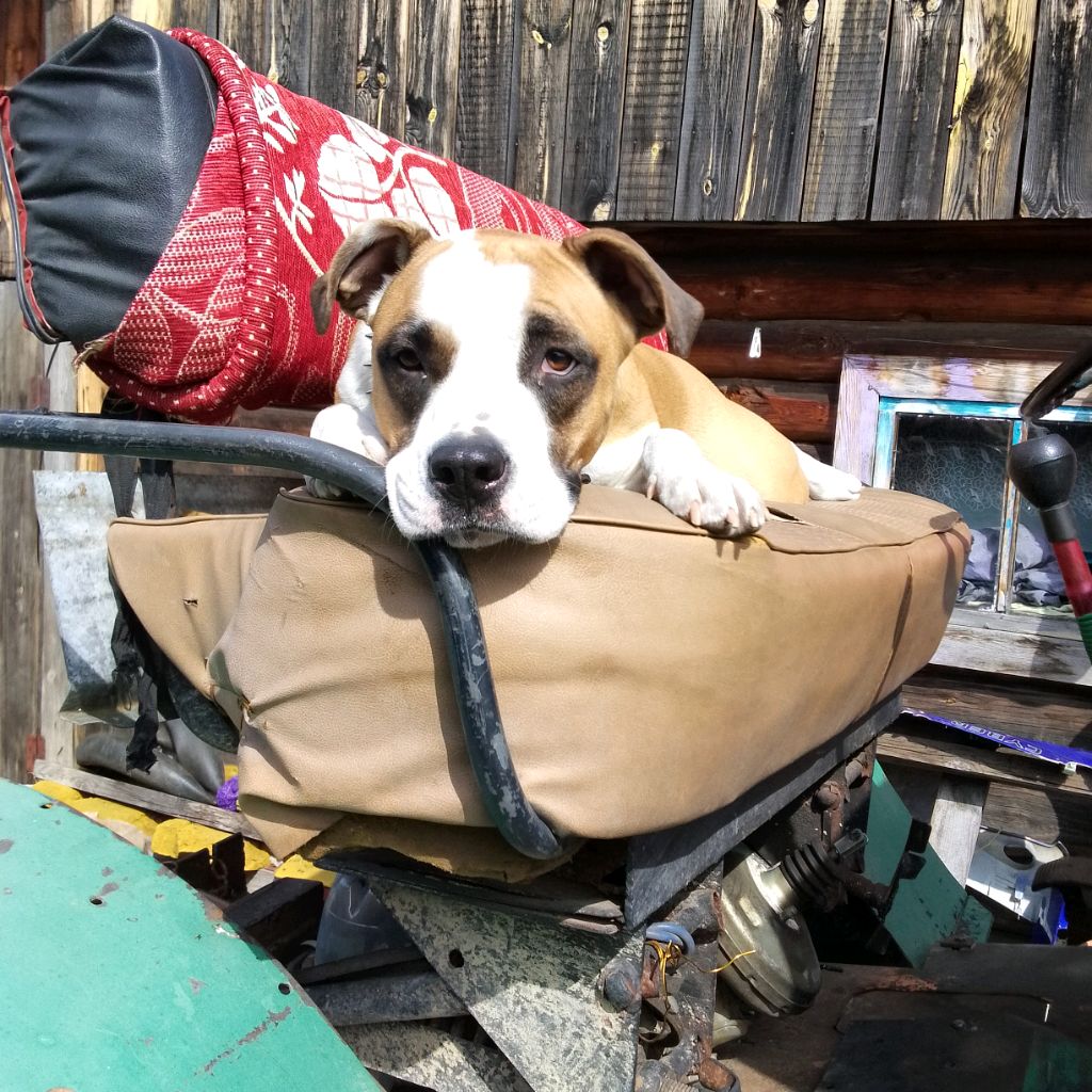 Аватар автора