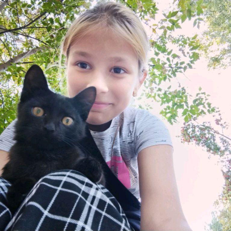 Аватар автора