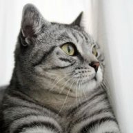 Иконка канала Видео №1