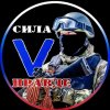 Иконка канала Сила V Правде