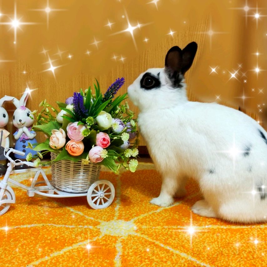 Иконка канала Буся И Боня